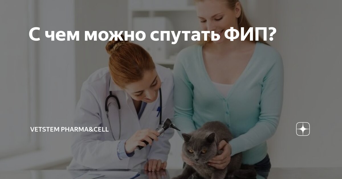 Мухомор пантерный ядовитый. Масленок гриб двойник. Сущ плюссущ в косвинных падежах. С чем можно спутать. Шампиньоны лесные съедобные и несъедобные.