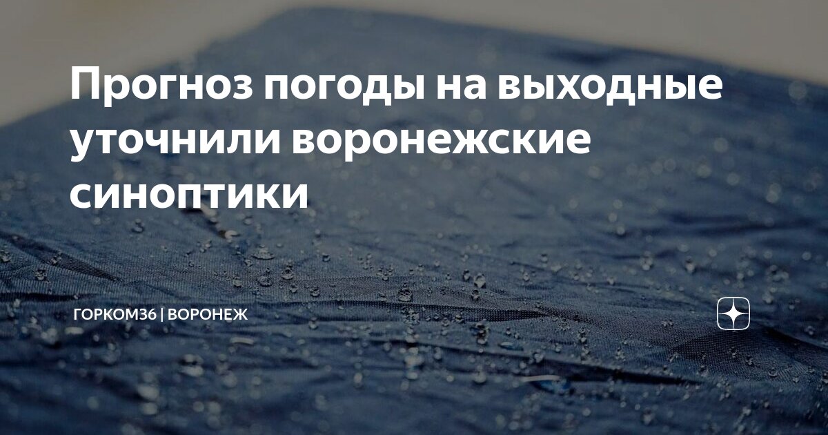 Прогноз погоды на выходные уточнили воронежские синоптики | Горком36 ...