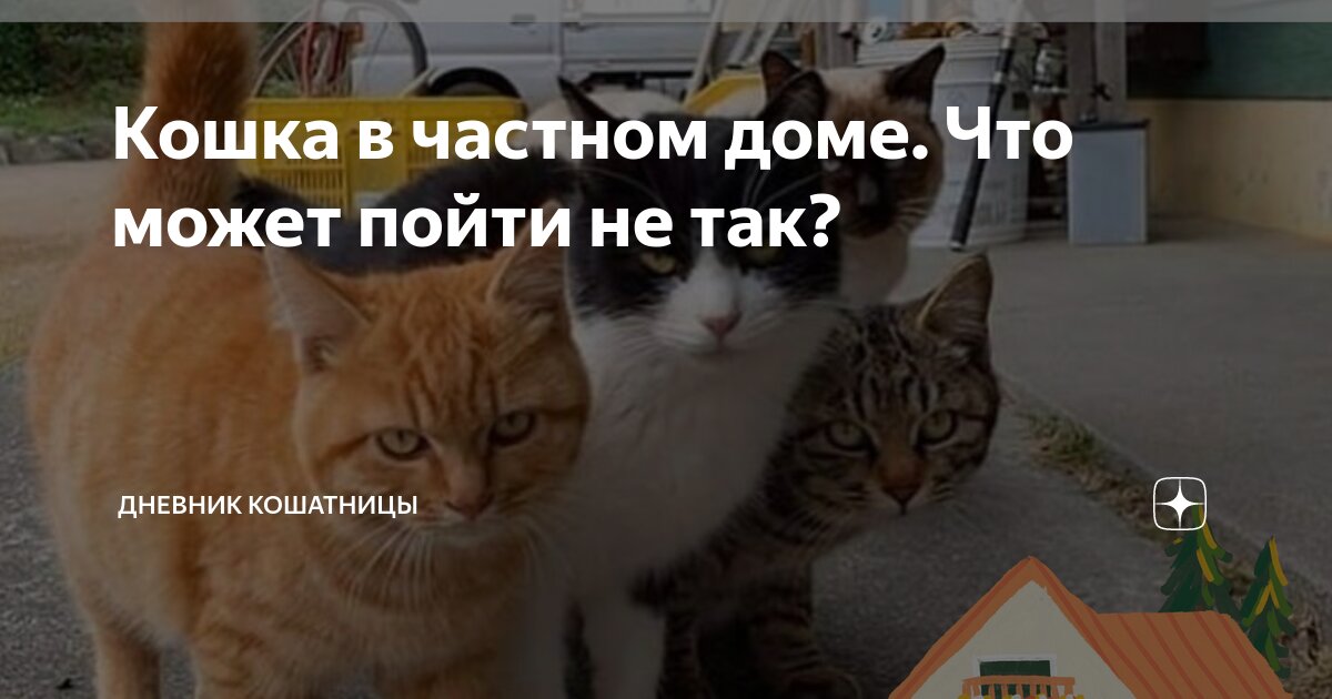 Покажи картинку ура на работу. Дэвид кэррадайн пойду посру. Мемы про ниву. Прикольные картинки про работу. Мемы комиксы.