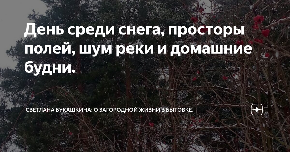 Размеренного дня. Размеренного дня. Размеренного дня. Размеренного дня. Размеренного дня.