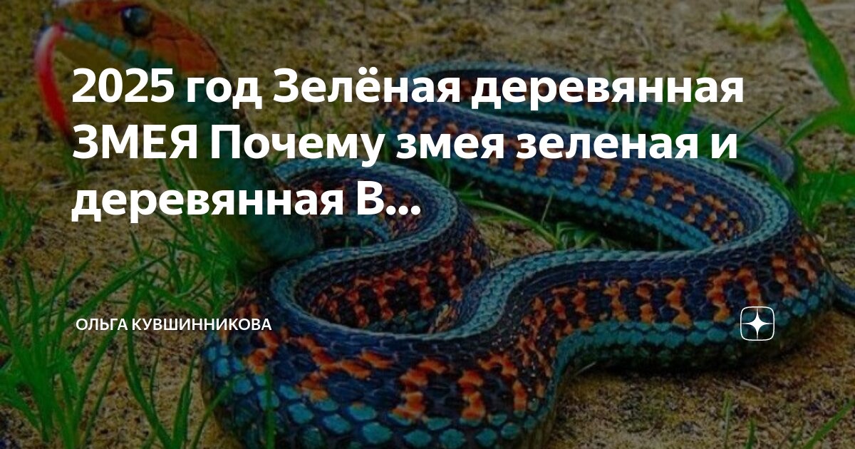 По дороге домой я подобрала змею. По дороге домой я подобрала змею