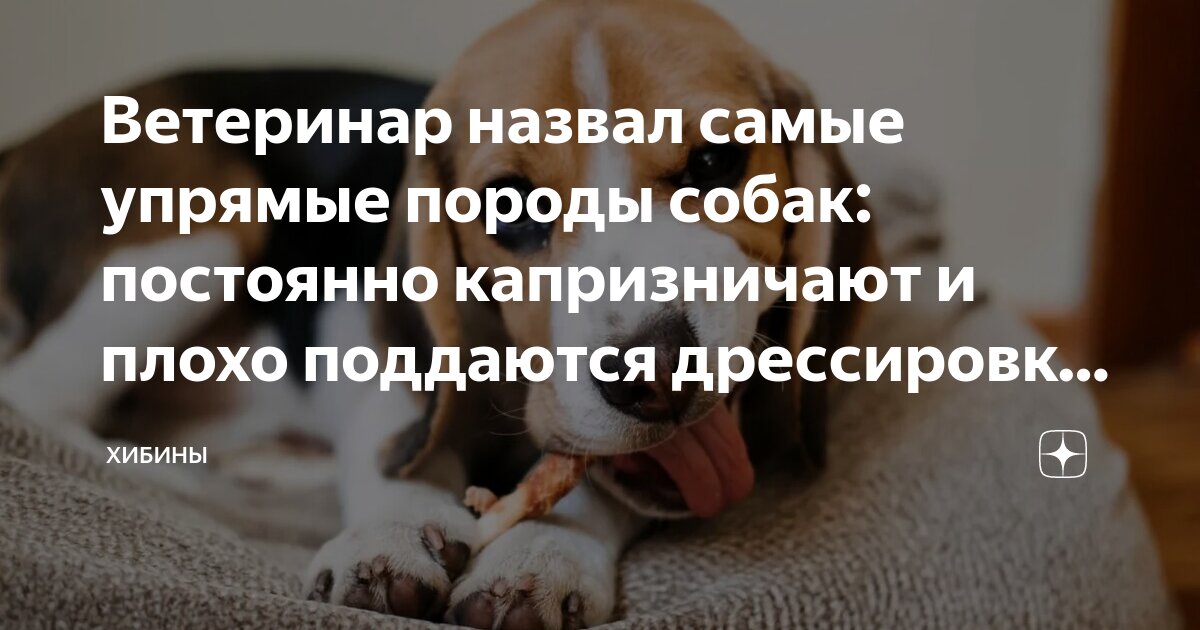 Арт мысли в картинках. Поддавшись какому то. Высказывания про страх. Кекс из зеленой гречки. Поддавшись какому то.