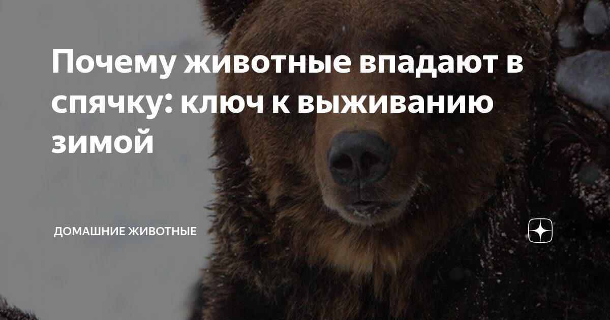 Приспособленности волка. Влияние света на животных примеры. Физиологические процессы у животных. Физиологические адаптации организмов. Физиологические адаптации.
