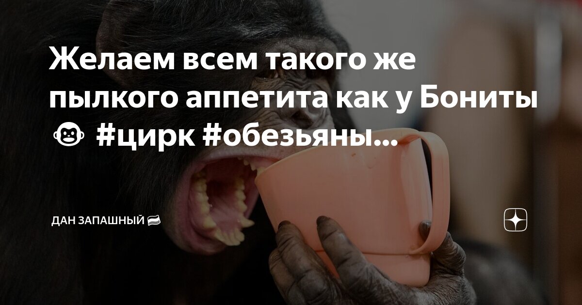 Такой же как у вас. Такой же как у вас