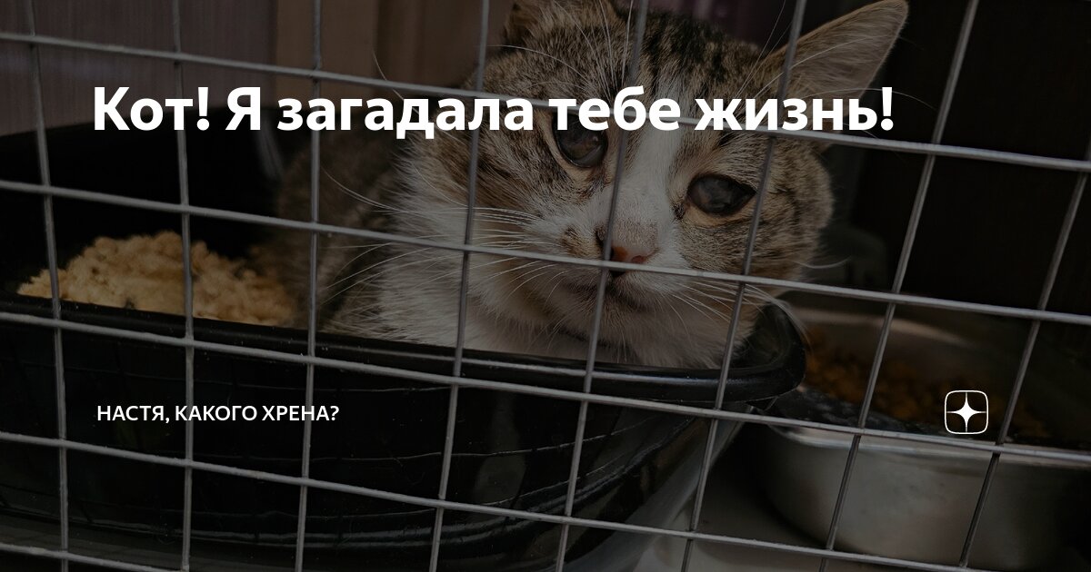 Я тебя тебя такую атакую. Я тебя тебя такую атакую