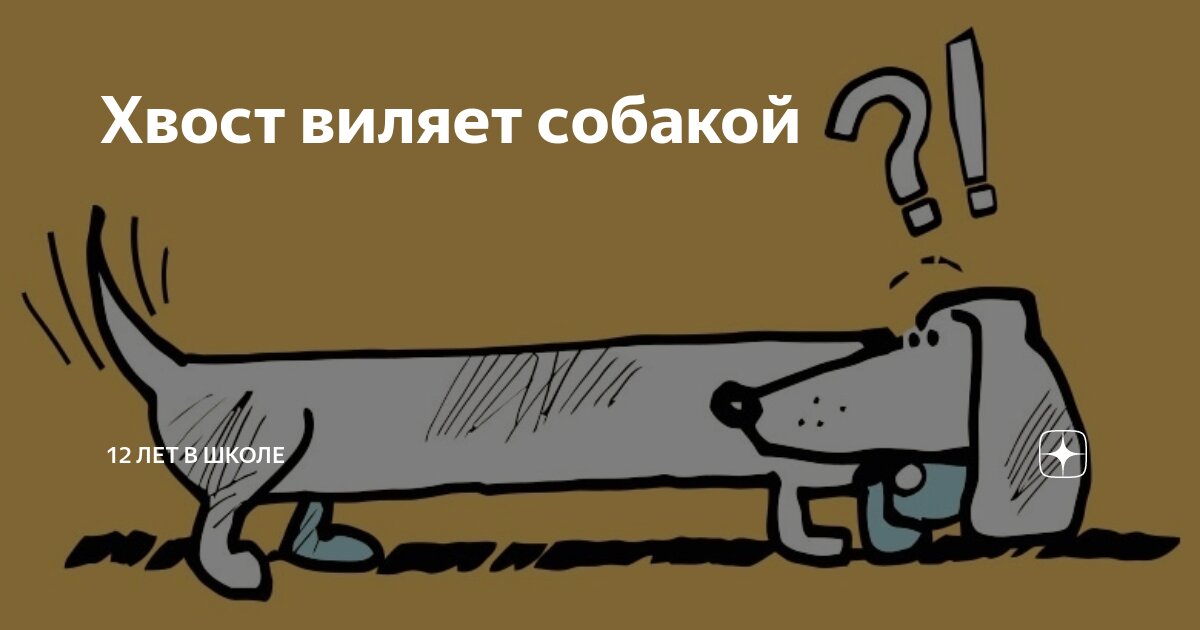 Хвост виляет собакой | 12 лет в школе | Дзен
