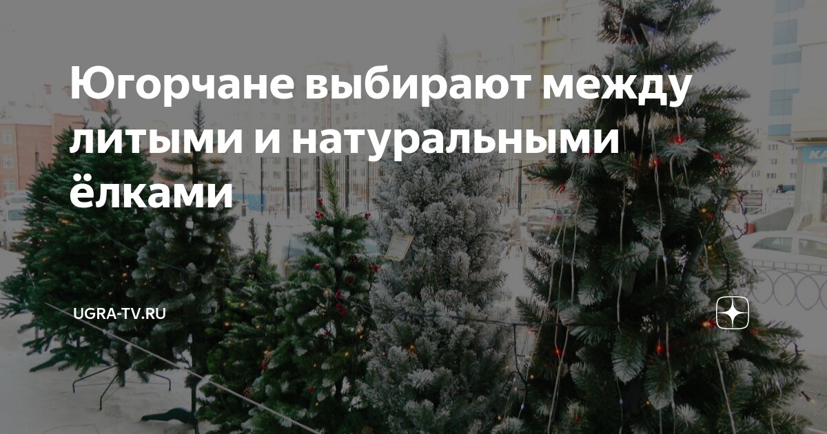 Лесные культуры сосны. Сосны высаженные прямоугольником. Между елок между сосен осторожно. Между елок между сосен осторожно. Между елок между сосен осторожно.