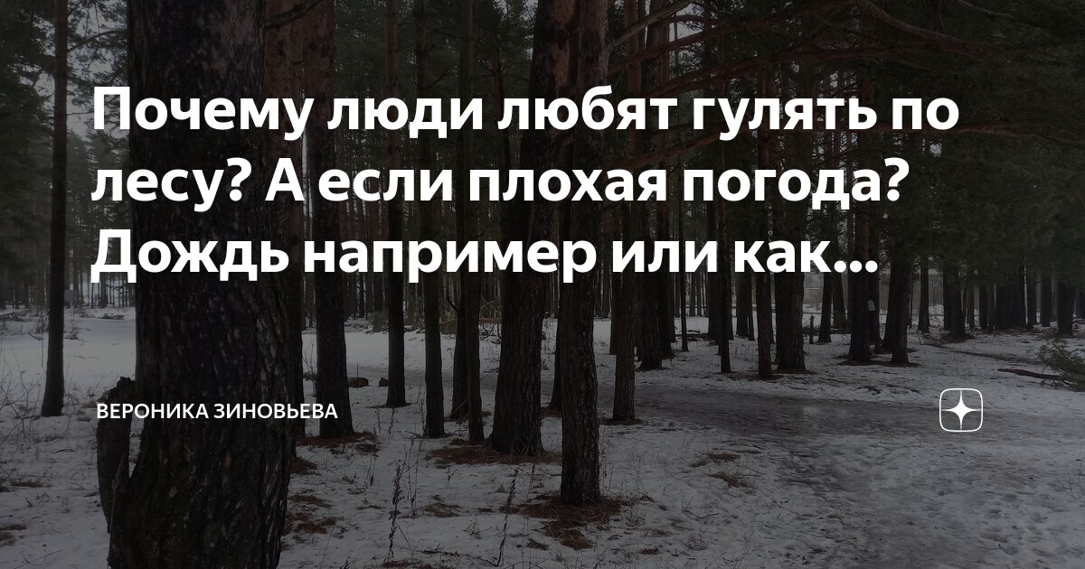 Пошли все лесом. Её всегда в лесу найдёшь. Мем я в лесу. Если в лес пришел гулять стихотворение. Гулять лесом это.