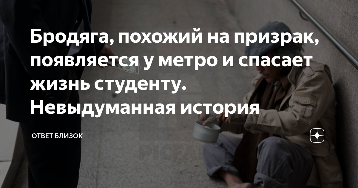 Жить как близко. Цитаты про город. Жить как близко. Шутки про внуков. Как много знающих.