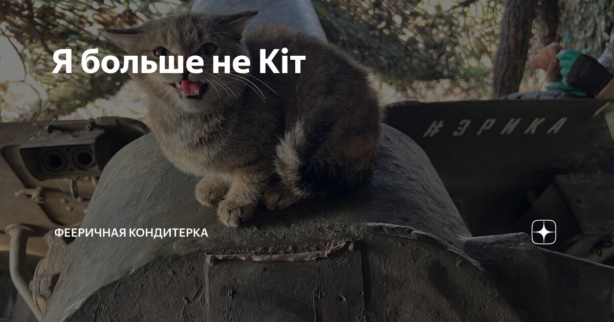 Я больше не Кiт | Фееричная кондитерка | Дзен