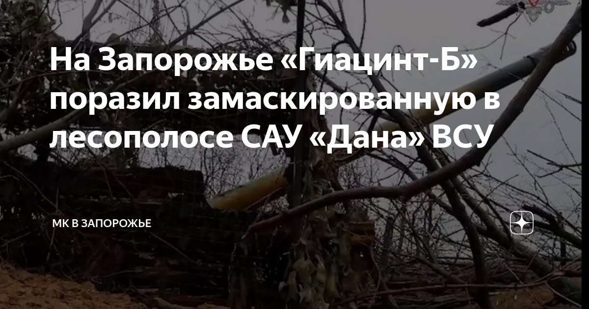 Создание полезащитной лесной полосы. Создание полезащитной лесной полосы