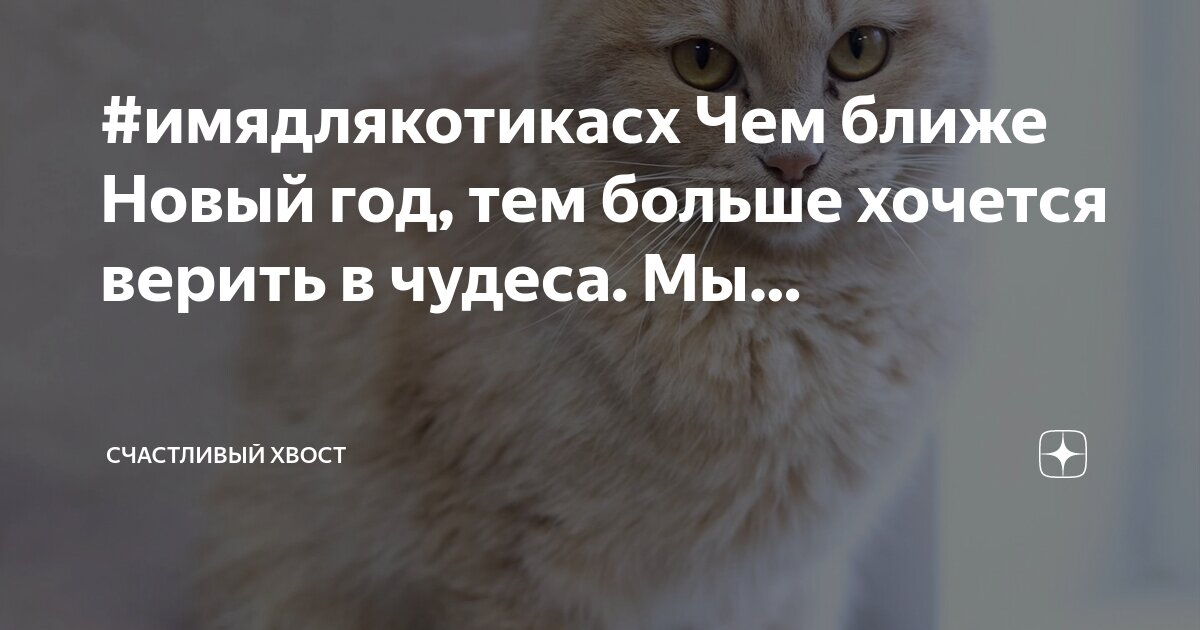 Раньше мы жили хорошо а теперь живем еще лучше. Как много знающих как жить как мало счастливо живущих. Прикольные надписи на стенах. Хочу жить счастливо цитаты. Прикольные надписи на стенах домов.