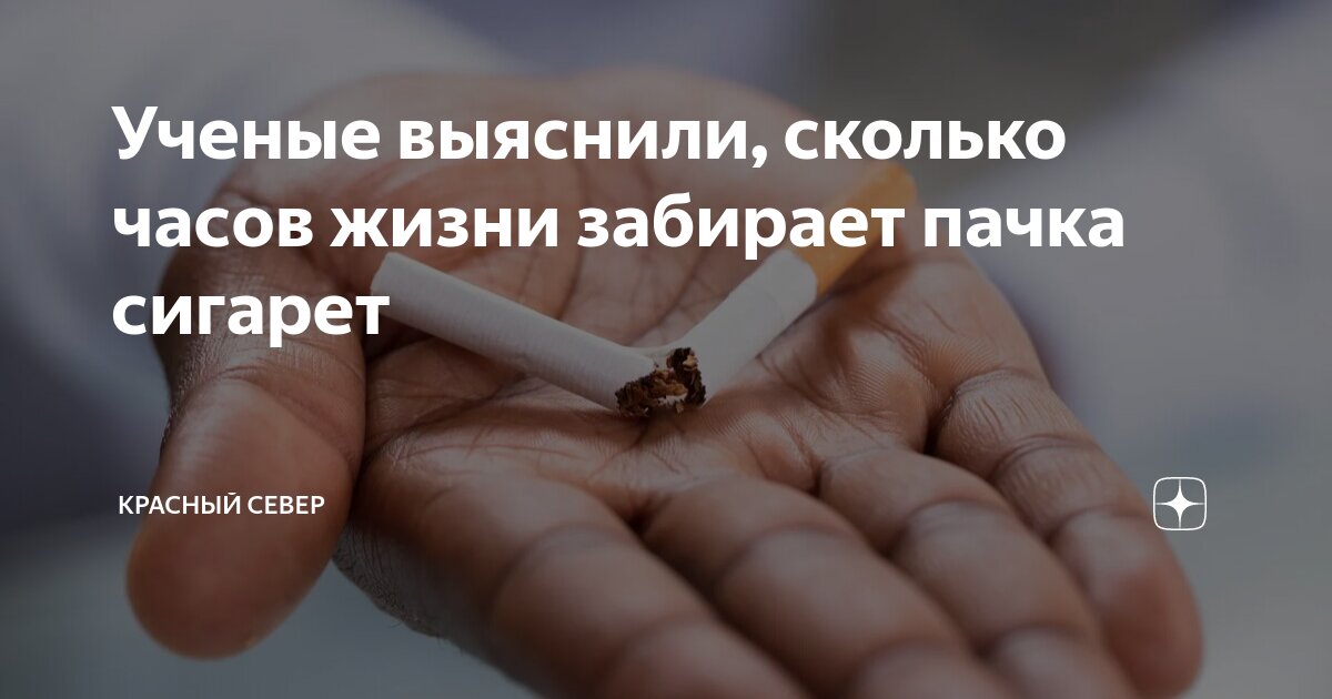 Сколько жил в человеке