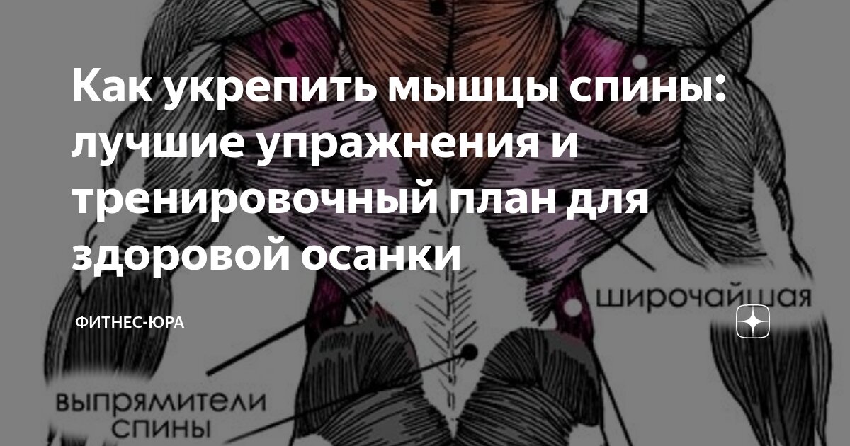 Equipoise � �������� �������: ����.