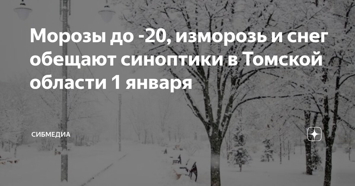 Мороз и снег погода. Метель на улице. Очень сильная метель. Метель. Иней на ветках деревьев.