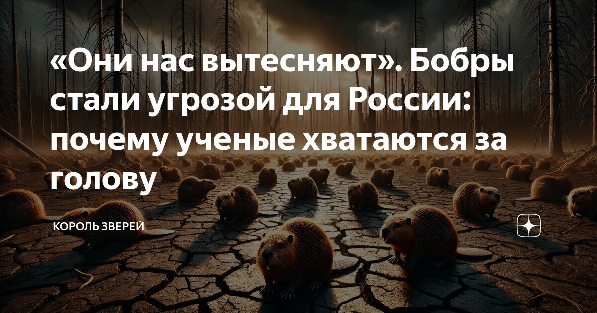 В мире не хватит ромашкового чая мем. Зачем не хватит. Зачем мне столько лет. Плакат про поэзию в стиле маяковского. Мем.