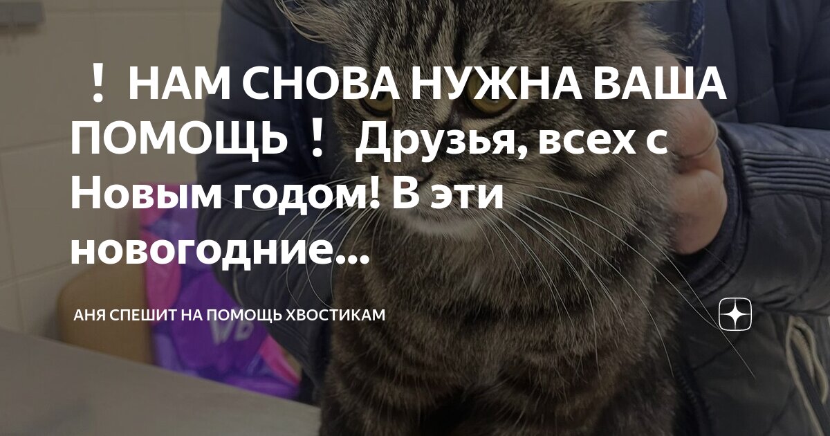 Аня вся дрожала. Аня лучшая. Аня лучше всех. Аня вся дрожала. Шутки про аню.
