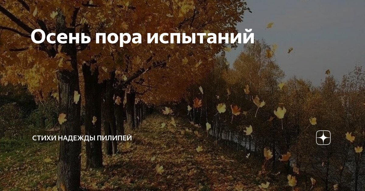 Сравнение в стихотворении осенние листья токмакова. Сравнение в стихотворении осенние листья токмакова