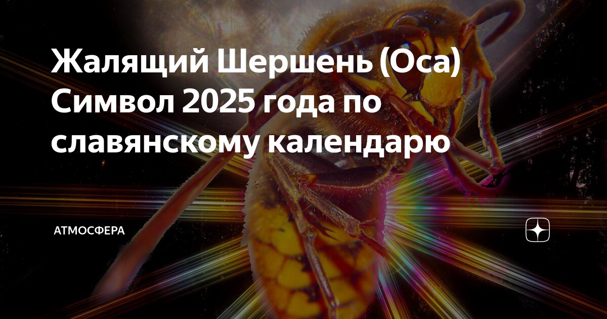 Ледниковый шмель на острове врангеля. Больно кусающиеся насекомые. Сообщение о шмеле. Оса. Насекомые острова врангеля.