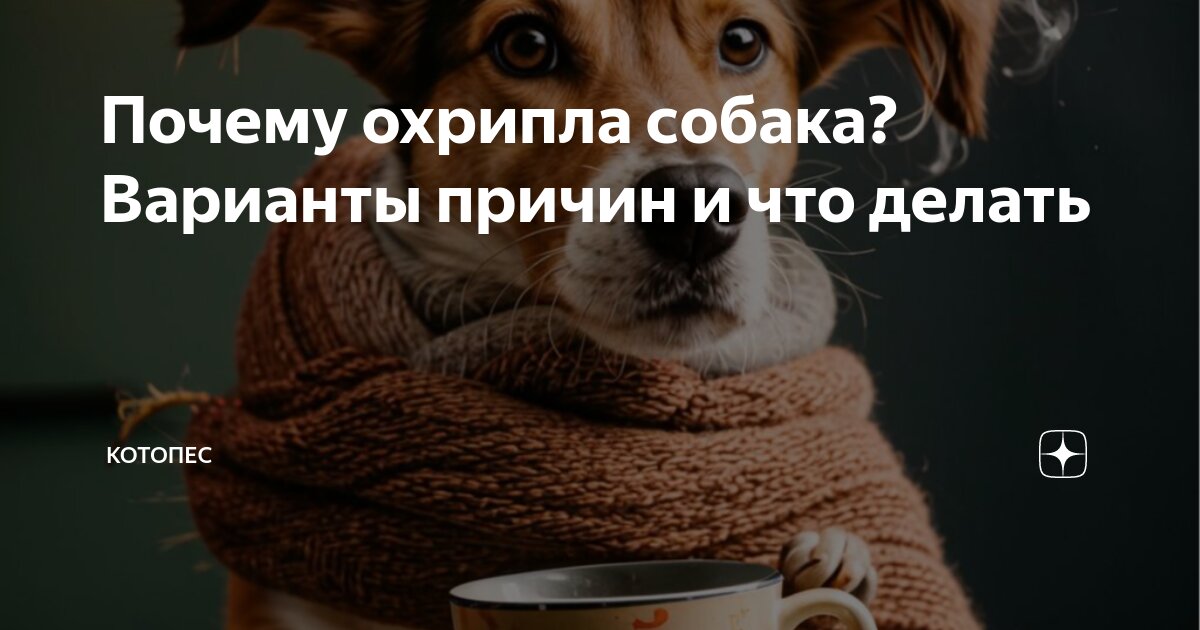 Почему сиплый. Почему сиплый