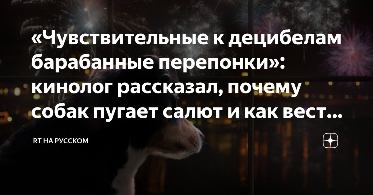 Как правильно перепонная. Как правильно перепонная