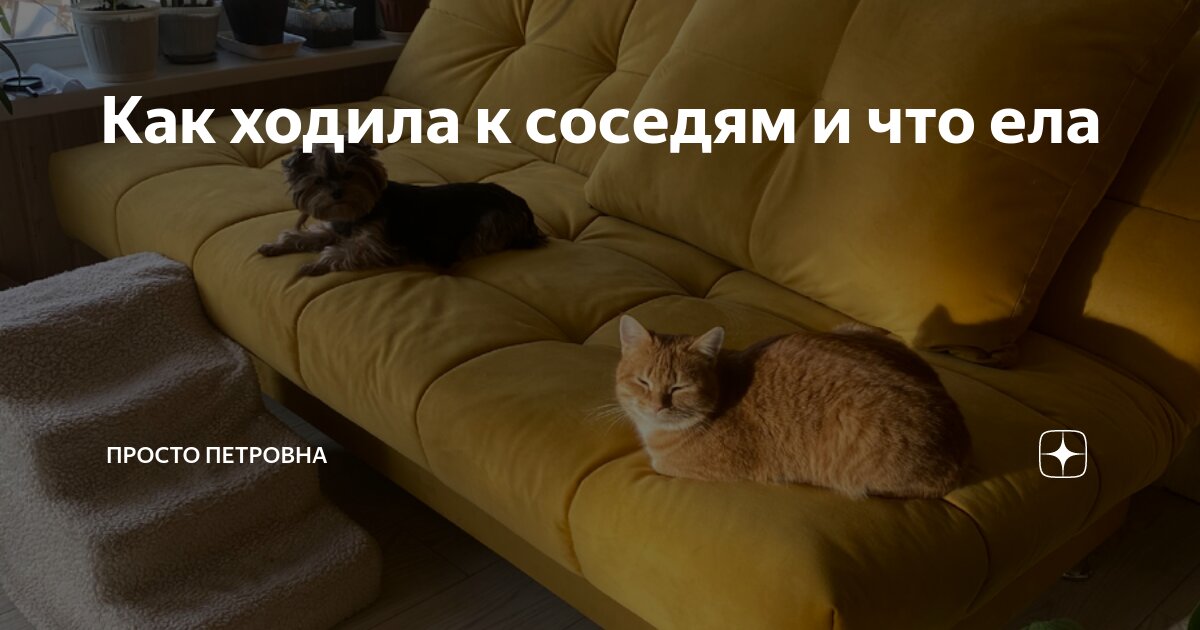 Всë супер. Че мем. Бальзамирую душу. Мне уже лучше стало. Кто сказал все пройдет пройдет и это.