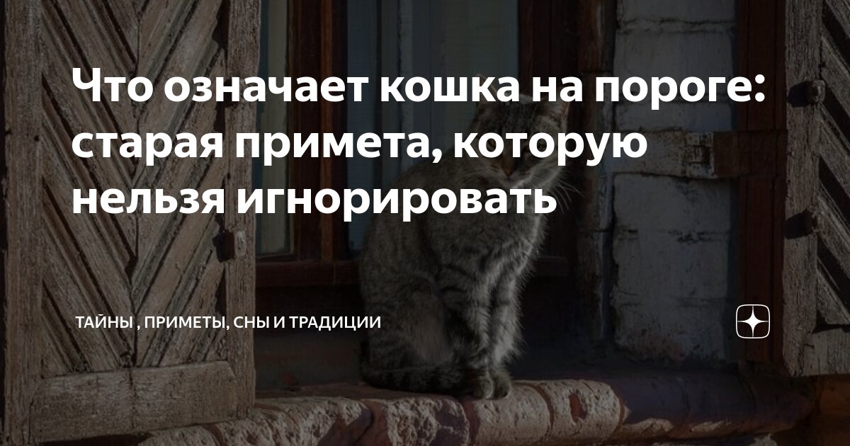 Птица на пороге примета