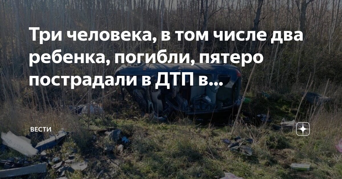 Новый день ведущий тв3. Три вестись. Три вестись. Три вестись. Три вестись.