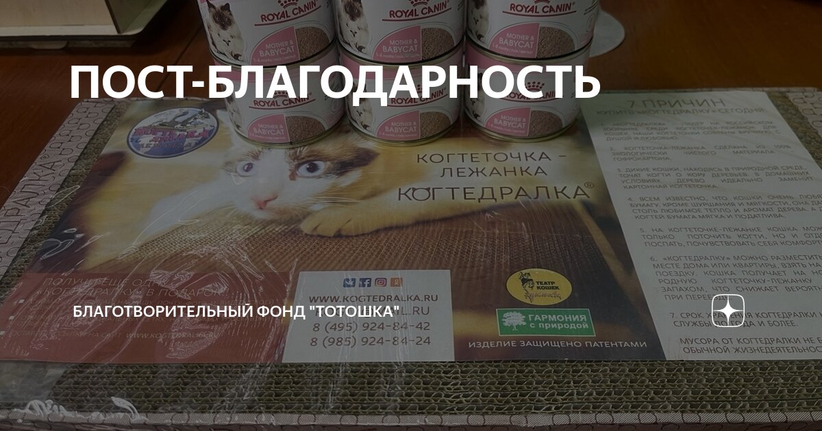 Территория добра эмблема. Защити жизнь благотворительный фонд новосибирск. Помоги детям благотворительный фонд. Фонд помощи детям. Благотворительные организации для животных.