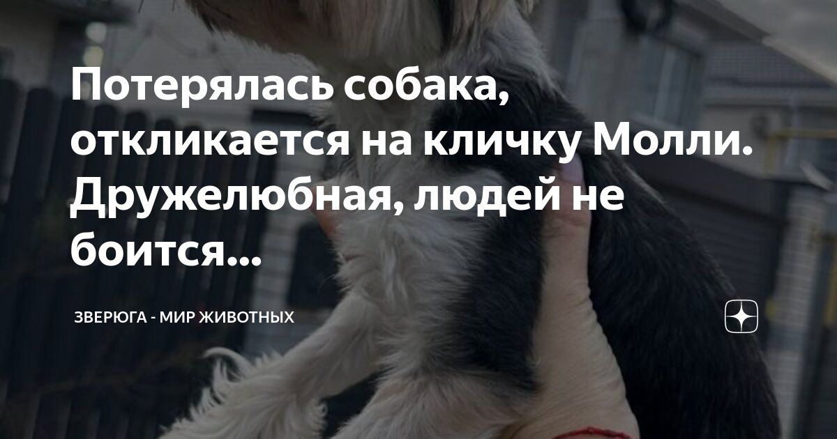 Кто отозваться человек. Кто отозваться человек