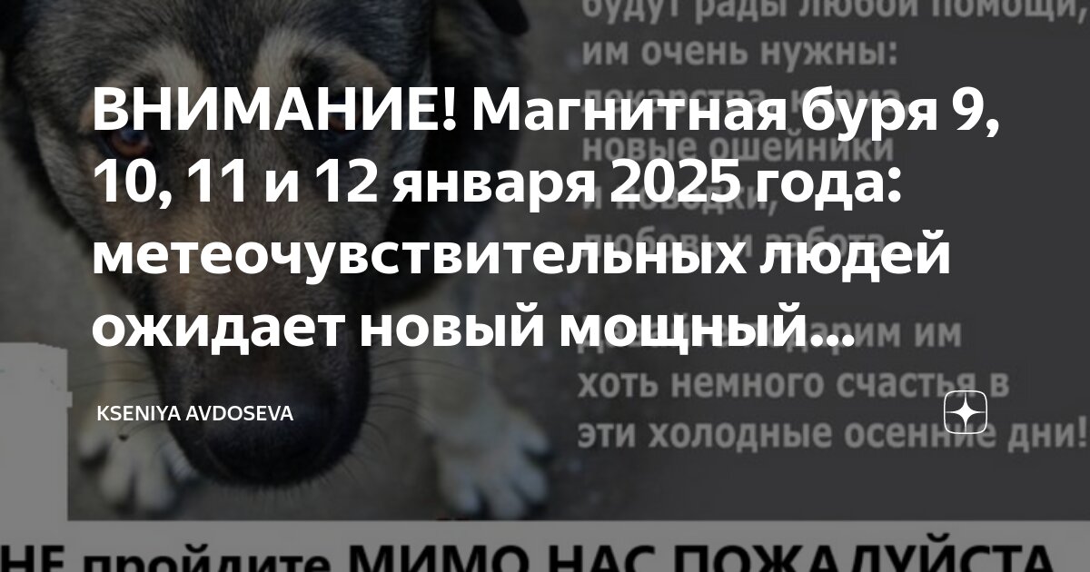 Кто явиться год. Кто явиться год