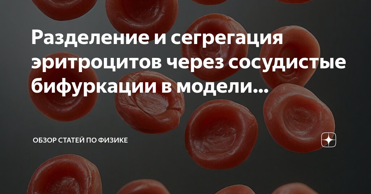 Распределение эритроцитов понижен. Распределение эритроцитов понижен