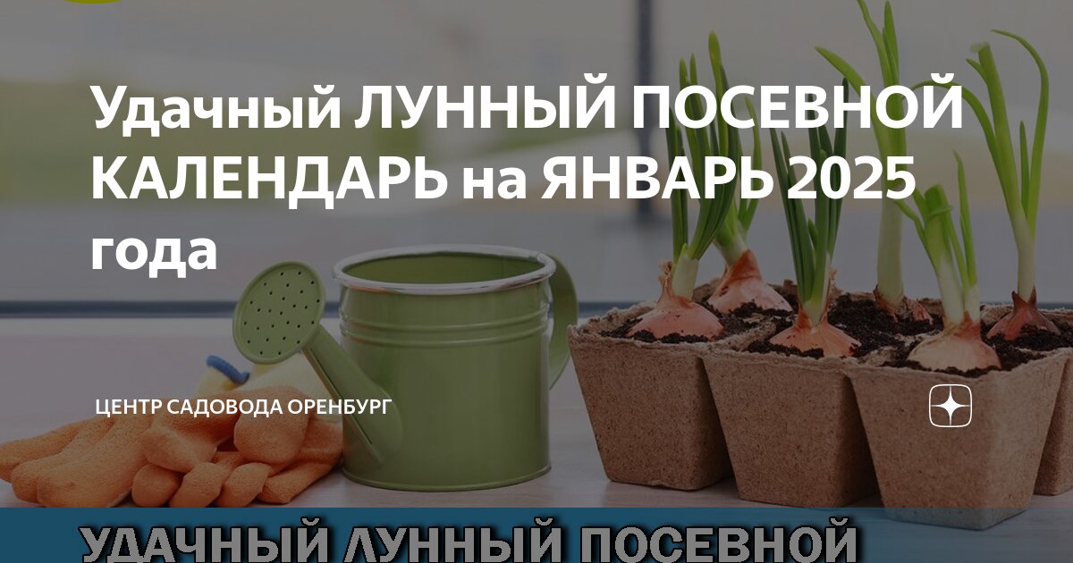 Посевной календарь на февраль 2025г. Посевной календарь на февраль 2025г. Посевной календарь на февраль 2025г. Посевной календарь на февраль 2025г. Посевной календарь на февраль 2025г.