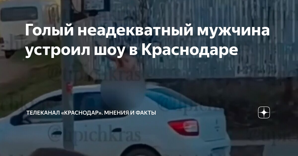Шоу органов краснодар