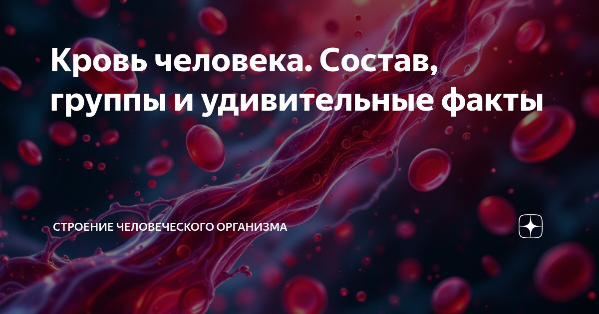 Барьерные функции организма. Барьерные функции организма