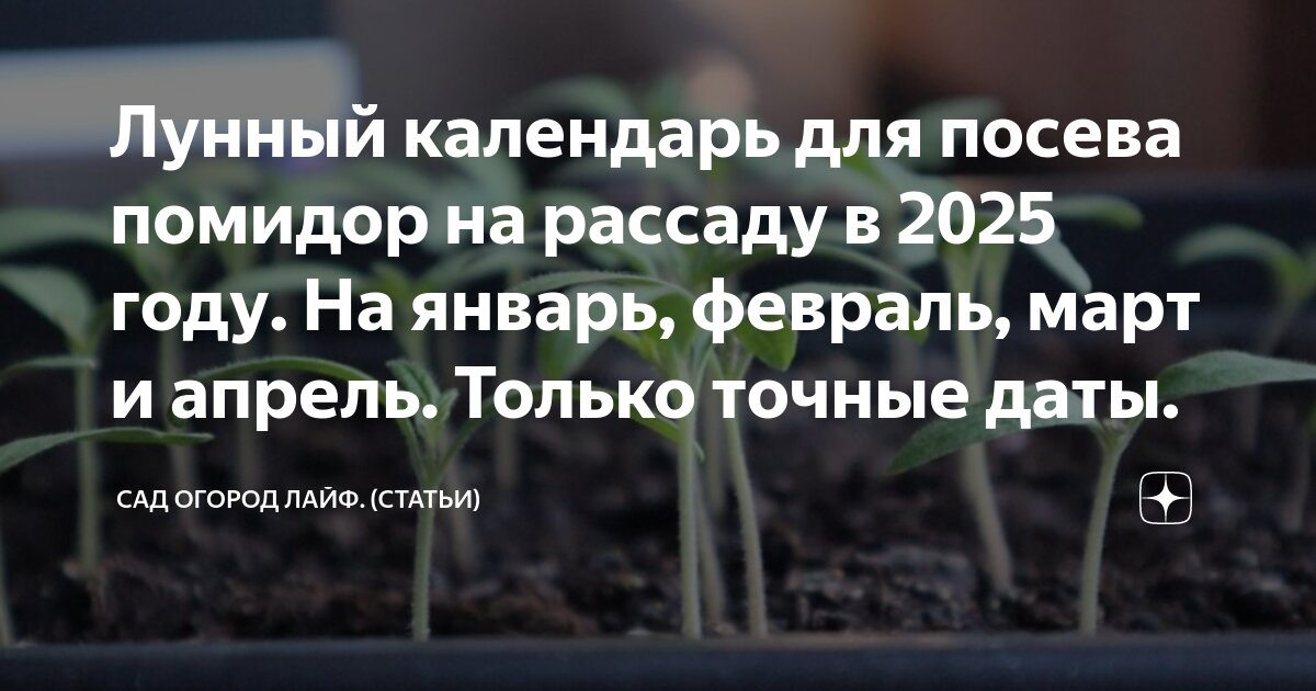 Календарь февраль 2025г благоприятные дни для посадки. Календарь февраль 2025г благоприятные дни для посадки