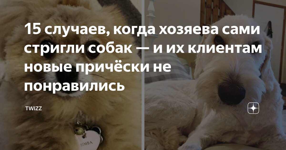 Беру хозяин