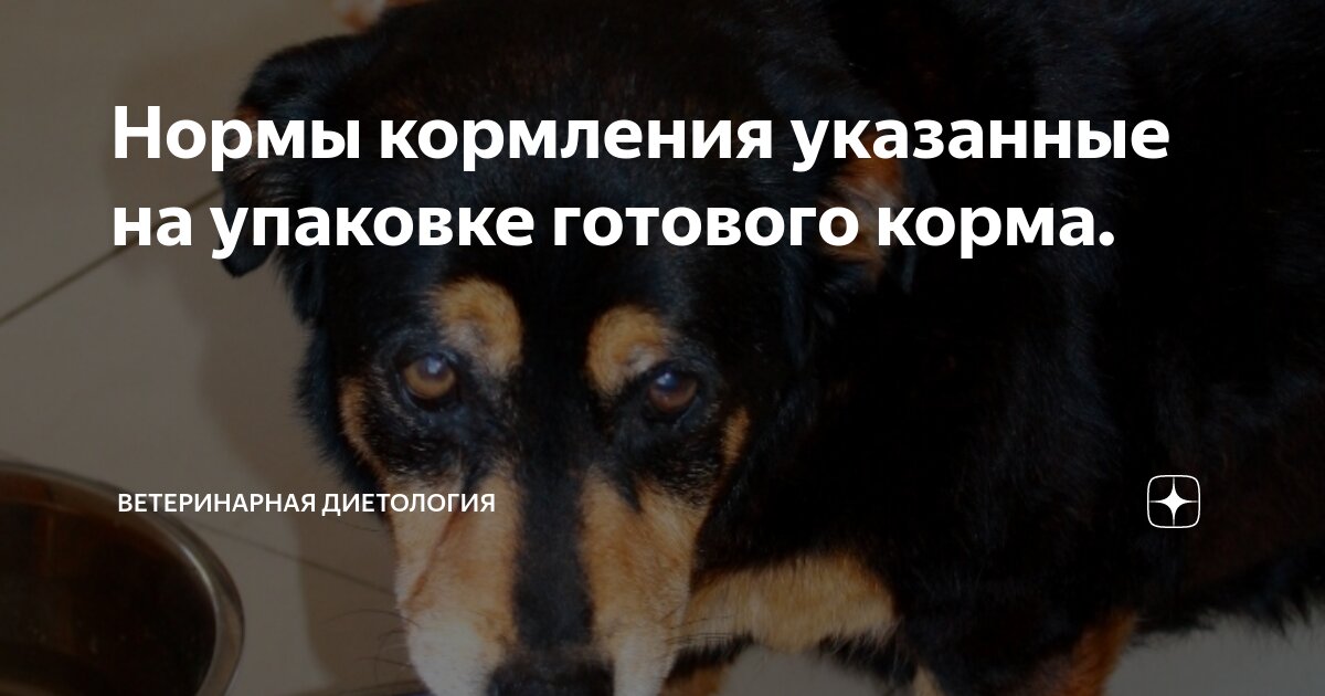 Норма производитель