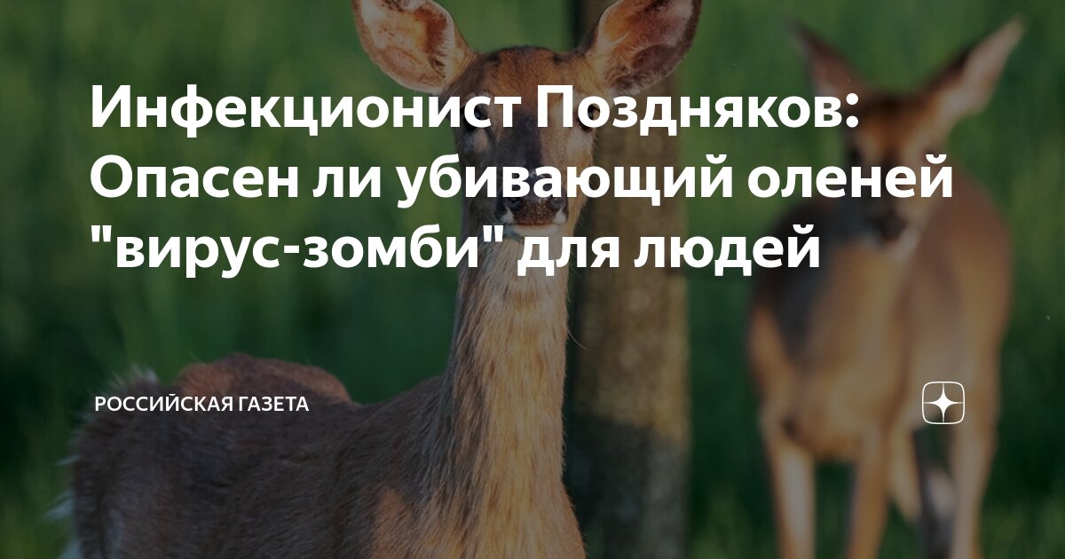 Вирус правды