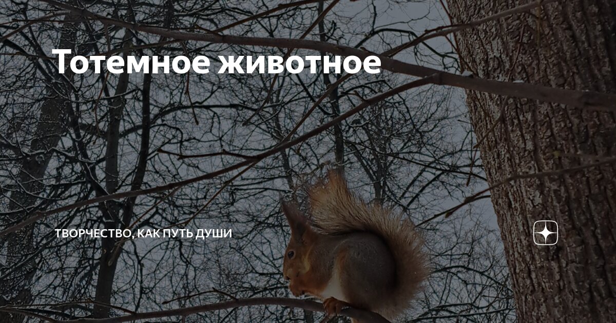Животное долго. Животное долго
