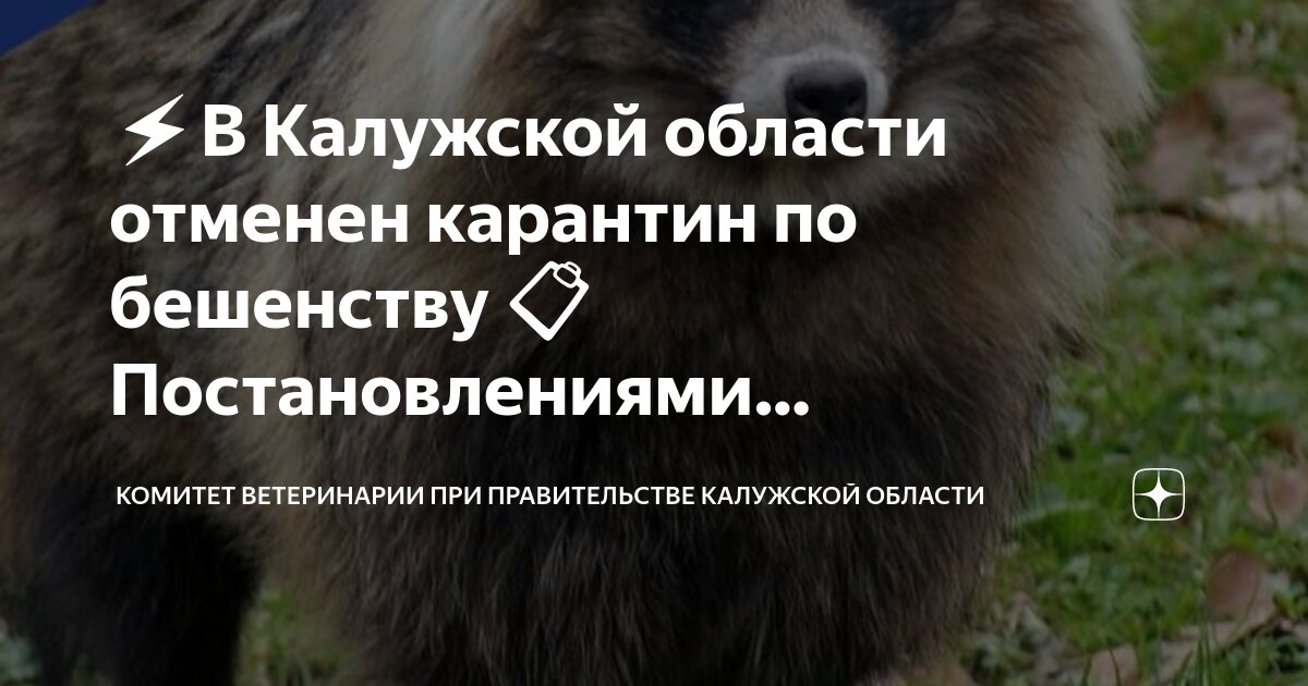 Карантин по бешенству. Карантин мероприятия. Карантин крс. Снят карантин по бешенству. Карантин.