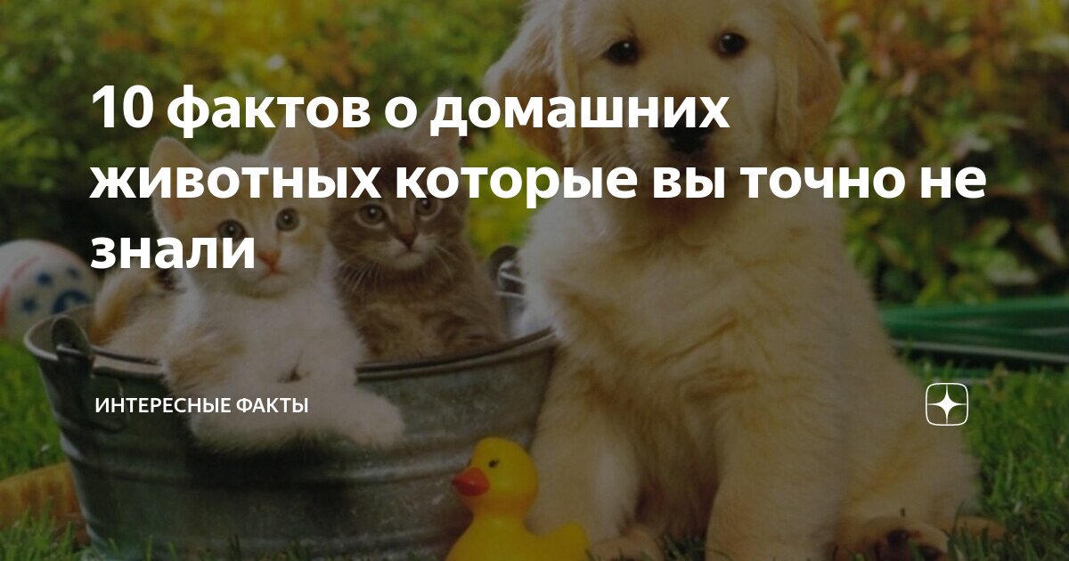 Который вы можете узнать о