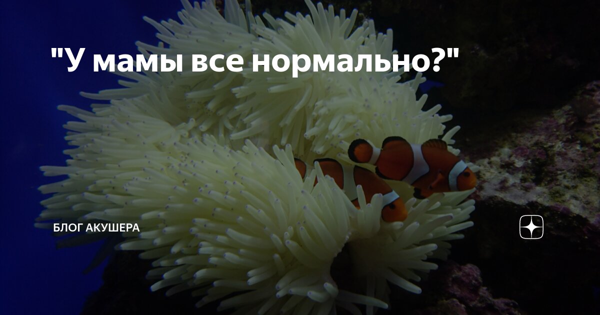 "У мамы все нормально?" | Блог акушера | Дзен