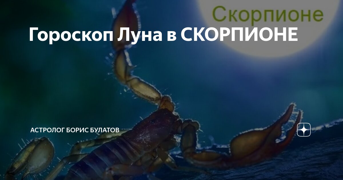 Гороскоп на 1 января скорпион. Гороскоп на 1 января скорпион