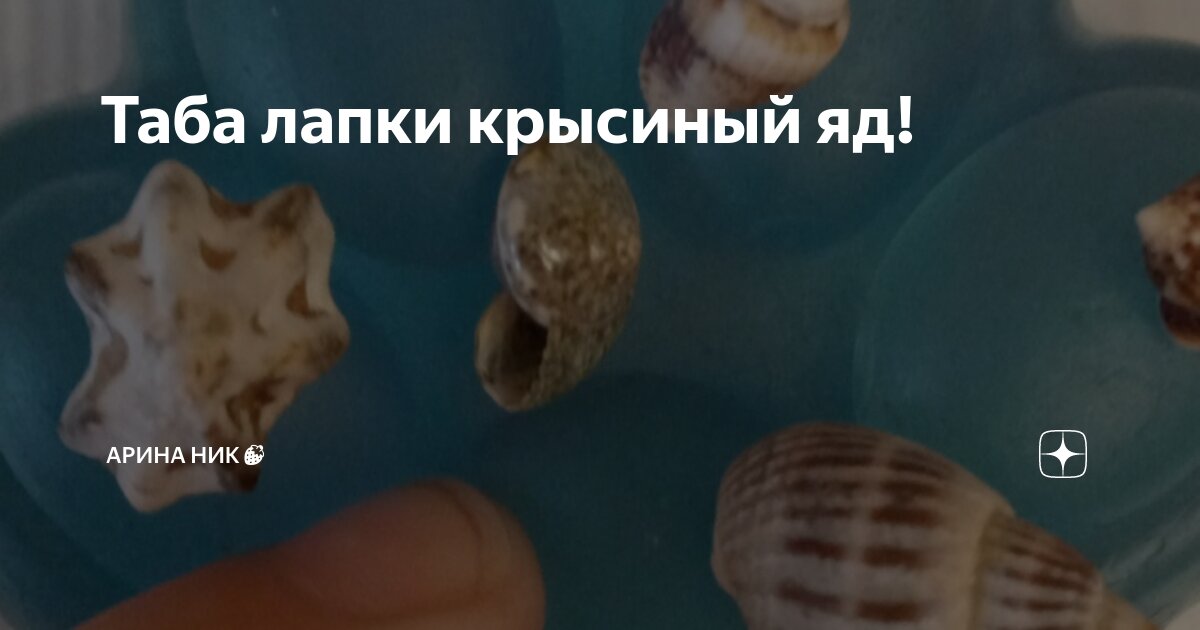 Что находится в таба лапках. Что находится в таба лапках