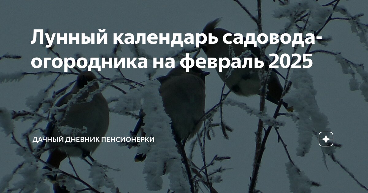 Лунный календарь садовода и огородника на февраль 2025 года Гавриш. Семена от пр