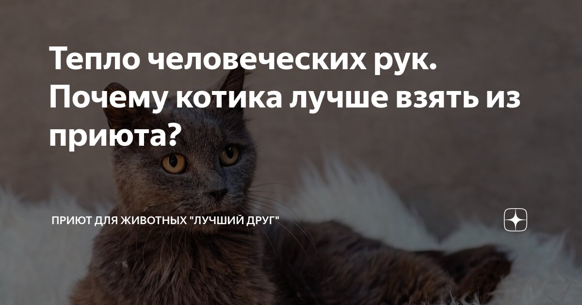 Почему компьютер лучший друг. Почему компьютер лучший друг