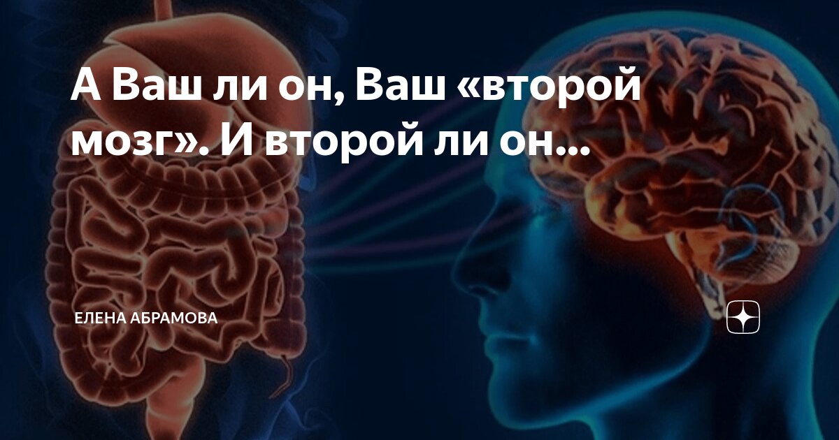 Мои мозги как все ваши. Мои мозги как все ваши