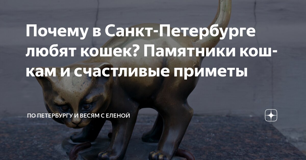 Почему кот символ петербурга. Почему кот символ петербурга