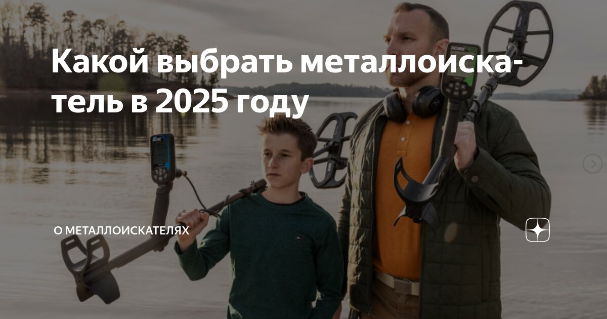 Какой выбрать металлоискатель в 2025 году | О металлоискателях | Дзен